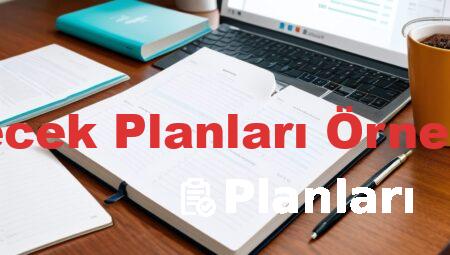 Gelecek Planları Örnekleri