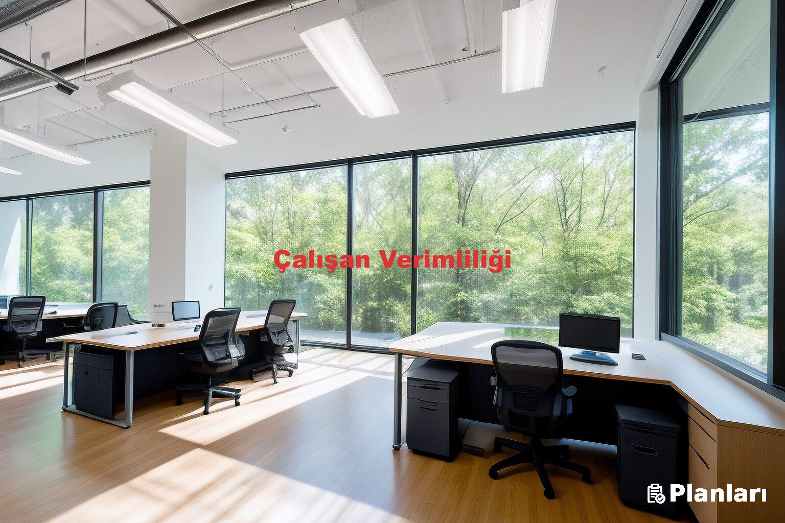 Çalışan Verimliliği