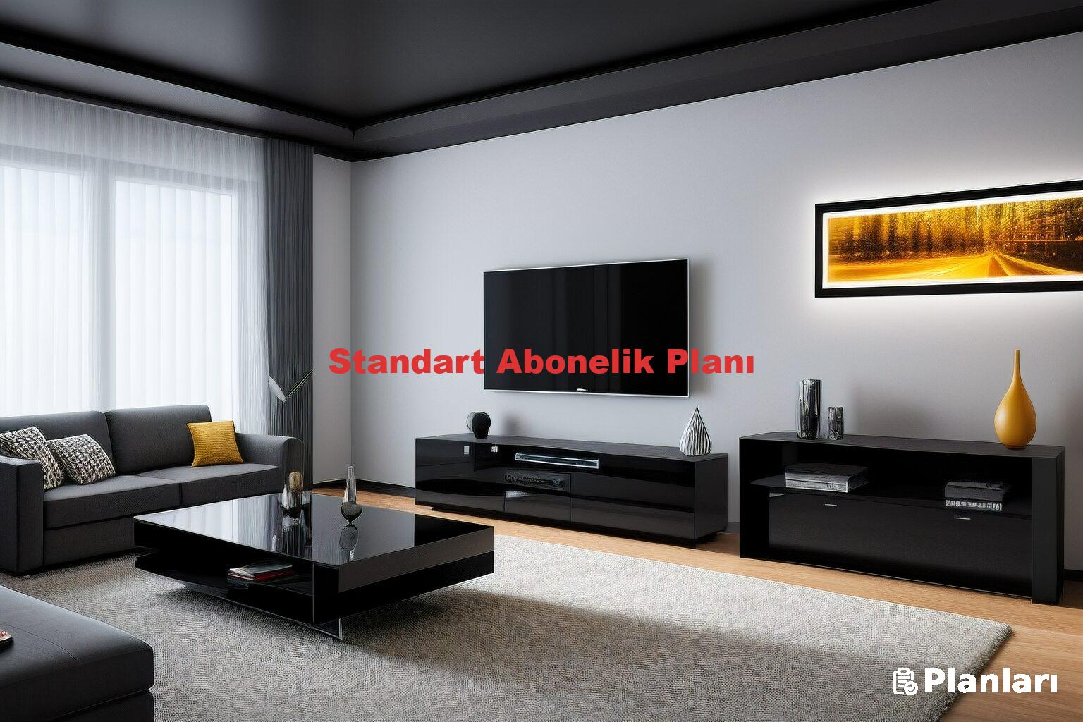 Standart Abonelik Planı