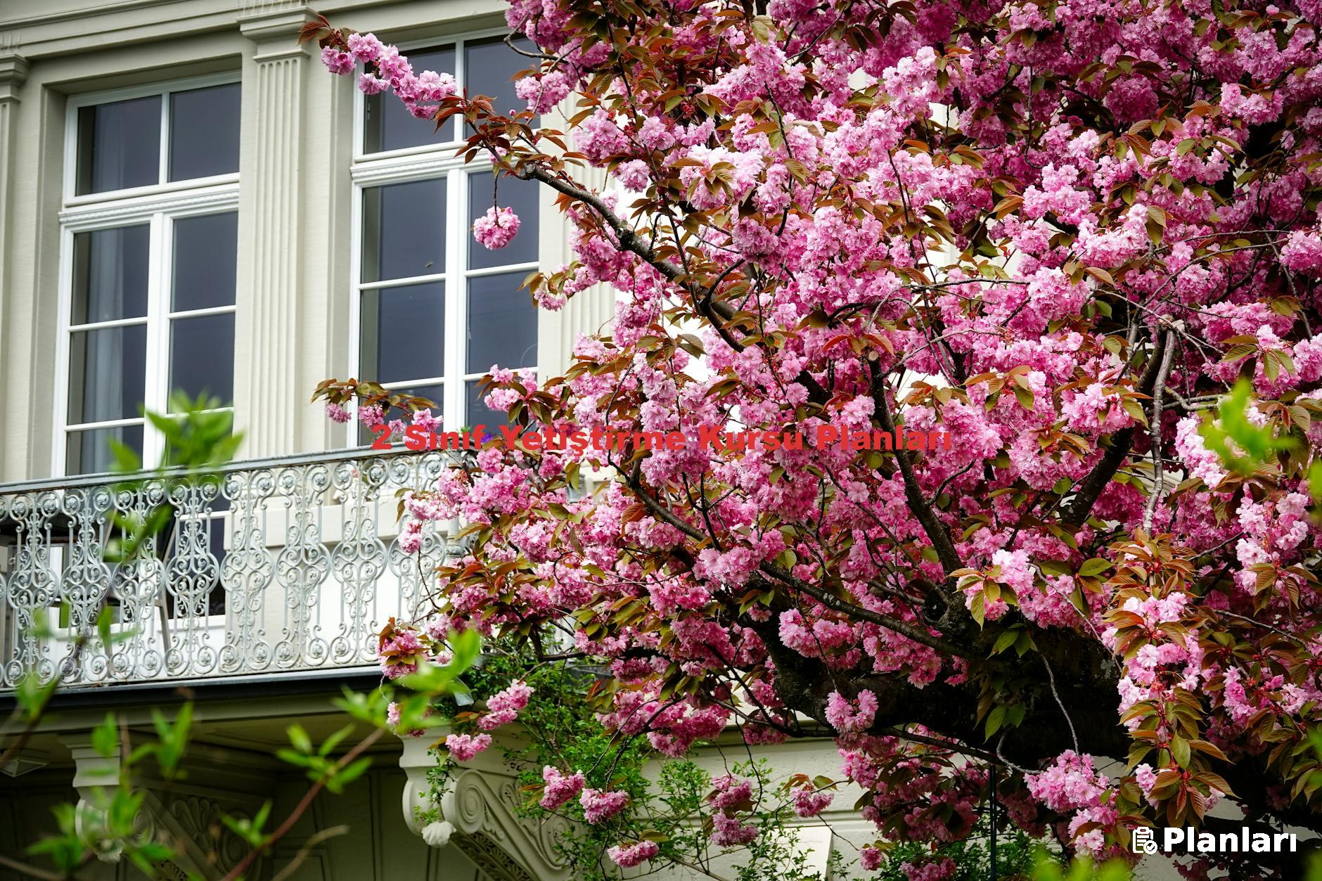 2 Sınıf Yetiştirme Kursu Planları