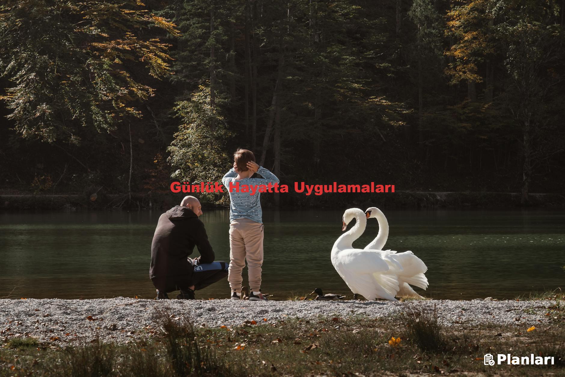 Günlük Hayatta Uygulamaları