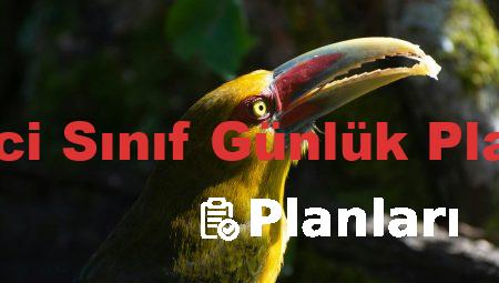 Birinci Sınıf Günlük Planları