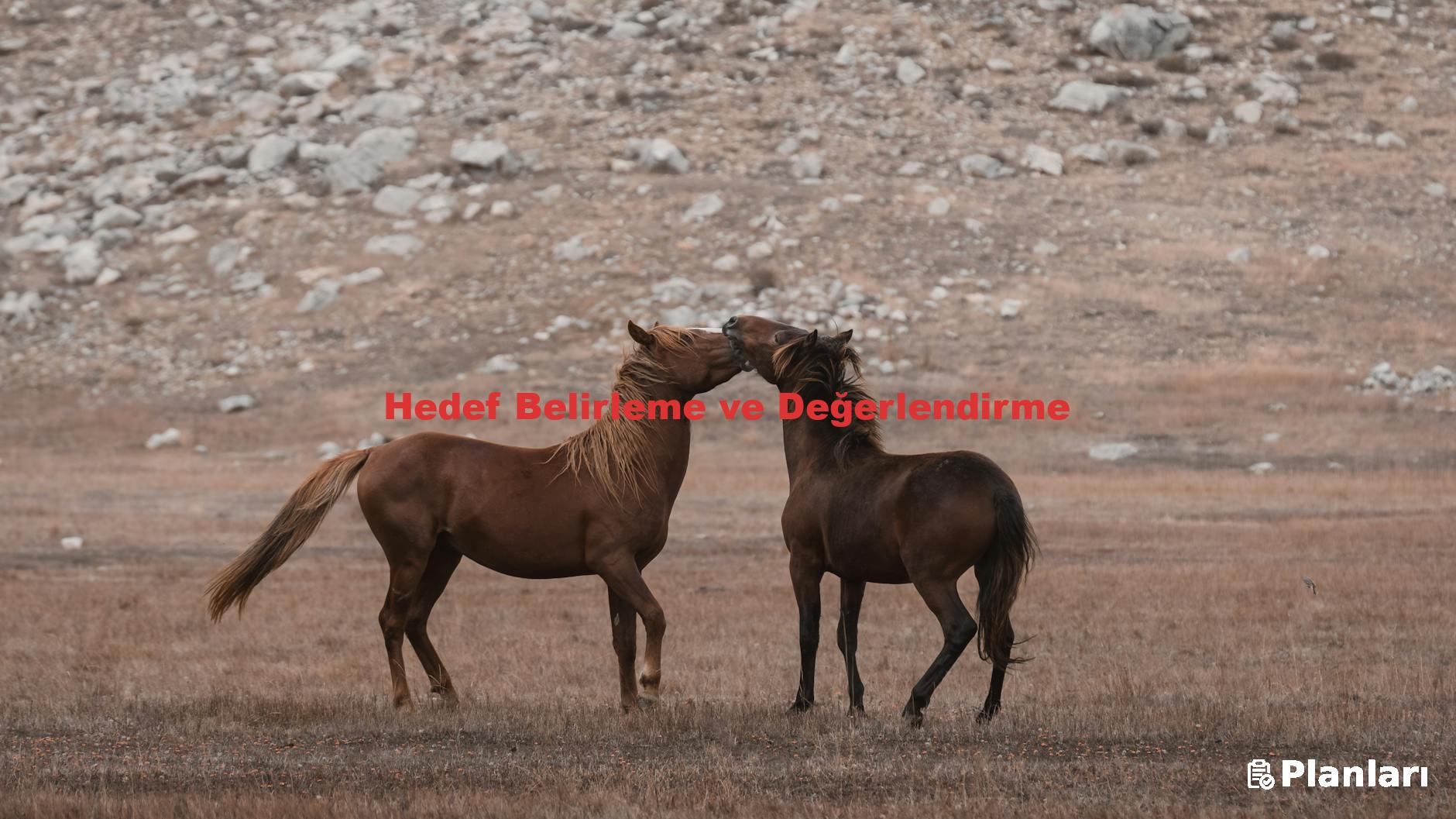 Hedef Belirleme ve Değerlendirme