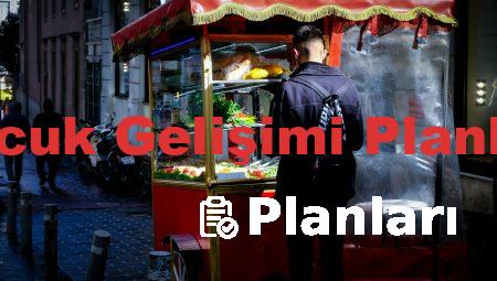 Çocuk Gelişimi Planları