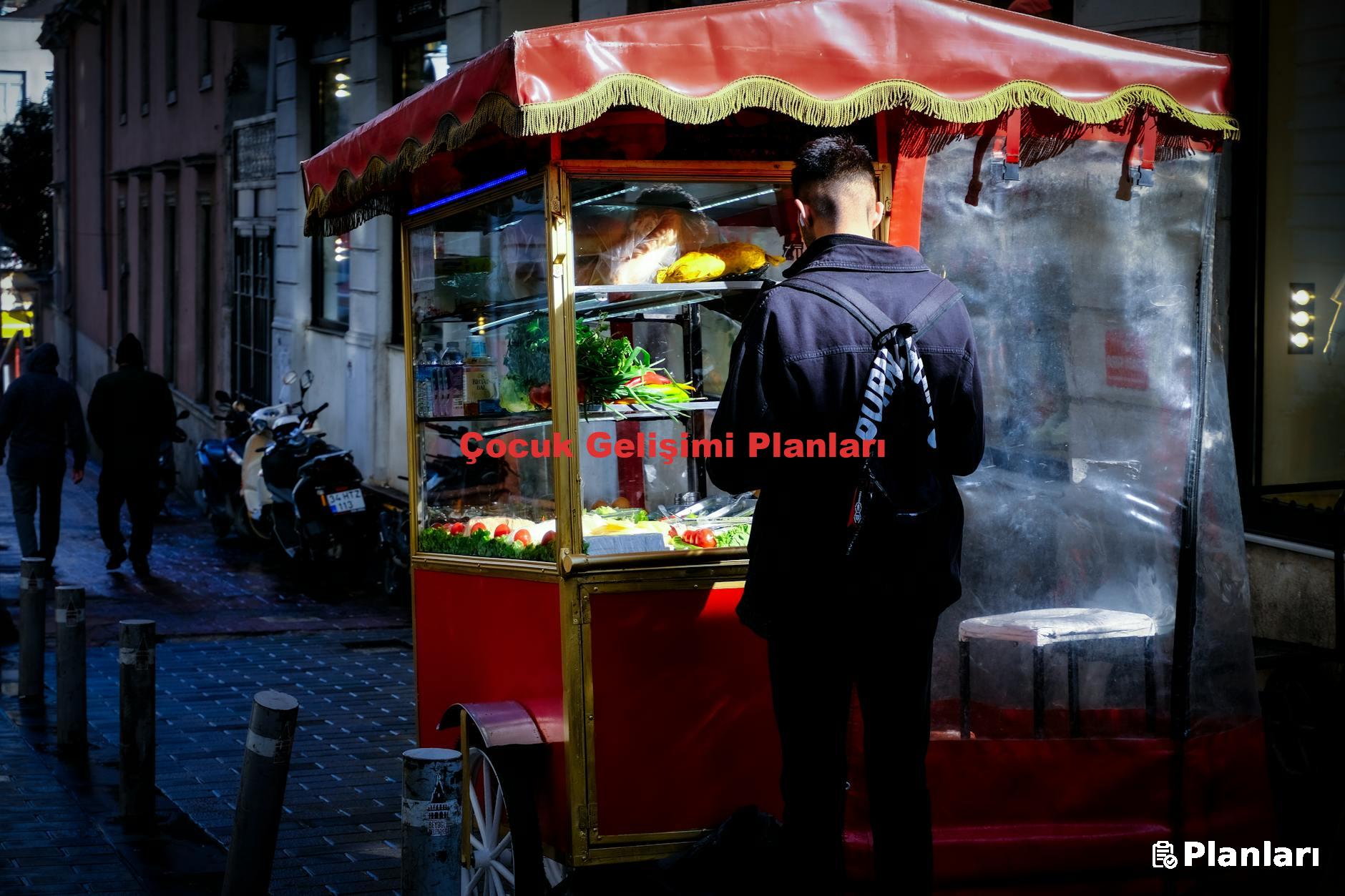 Çocuk Gelişimi Planları