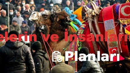 En İyi Planları Farelerin ve İnsanların Sıkça Ters Gider