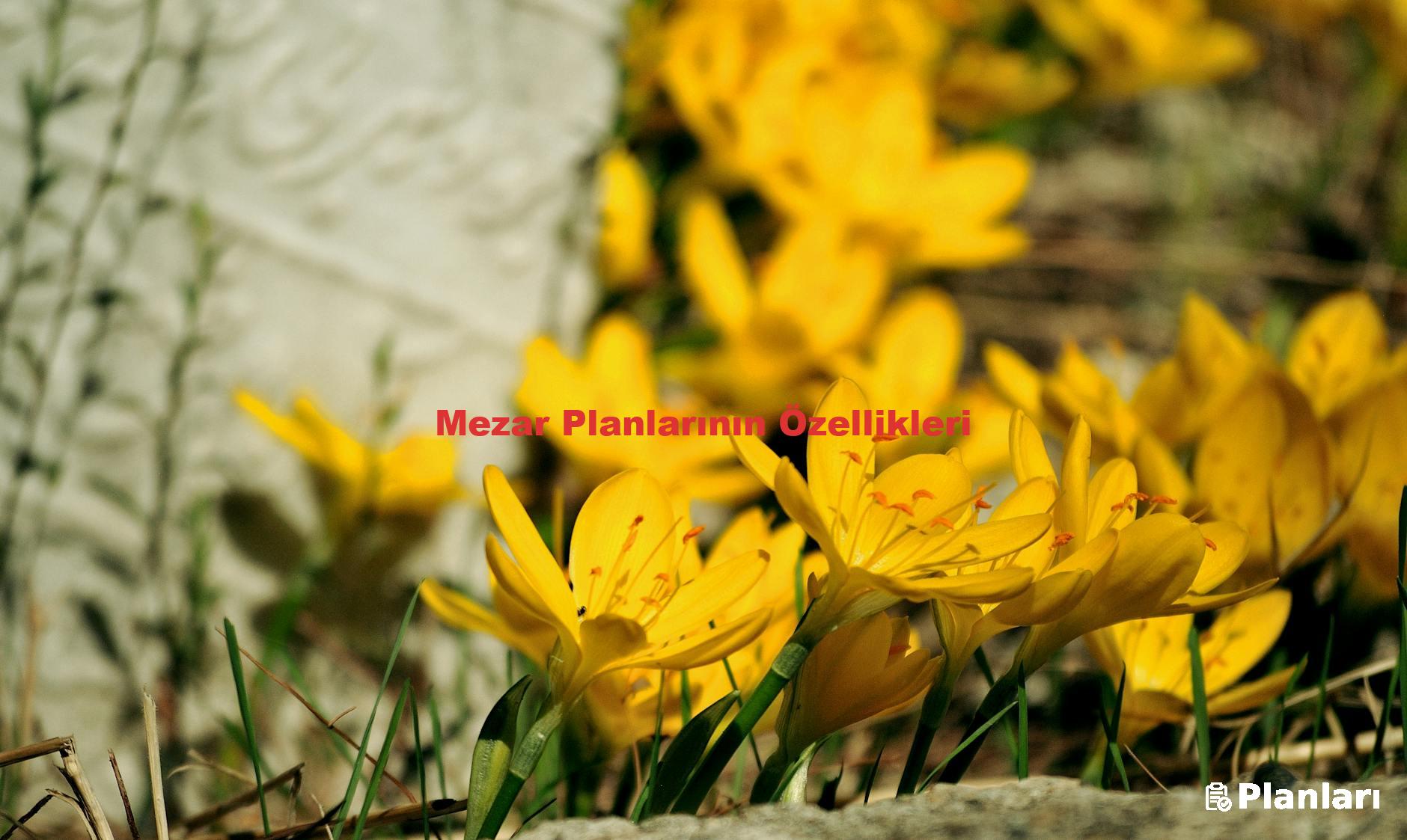 Mezar Planlarının Özellikleri