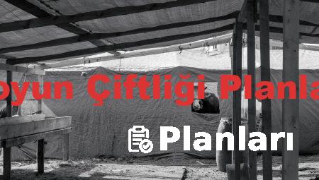 Koyun Çiftliği Planları