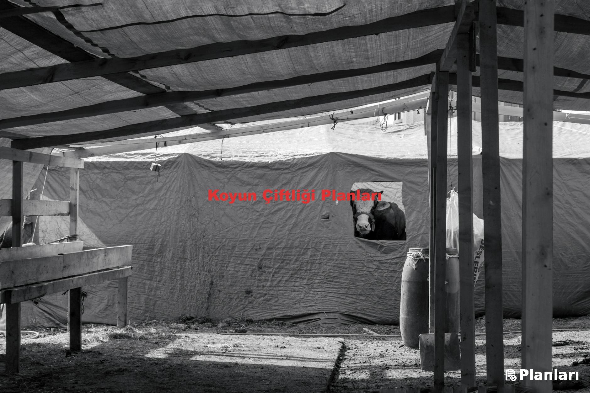 Koyun Çiftliği Planları