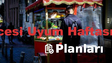 Okul Öncesi Uyum Haftası Planları