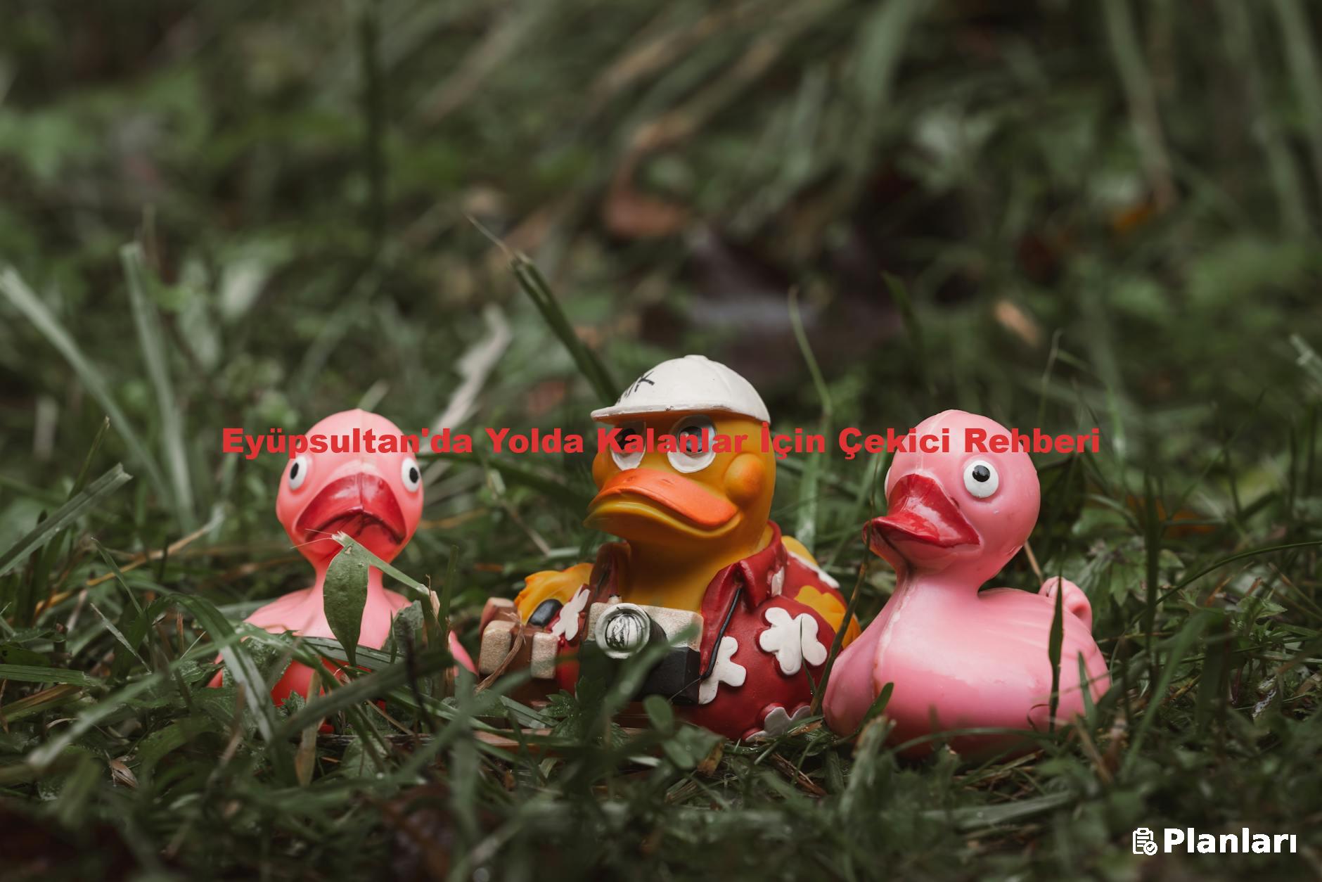Eyüpsultan'da Yolda Kalanlar İçin Çekici Rehberi