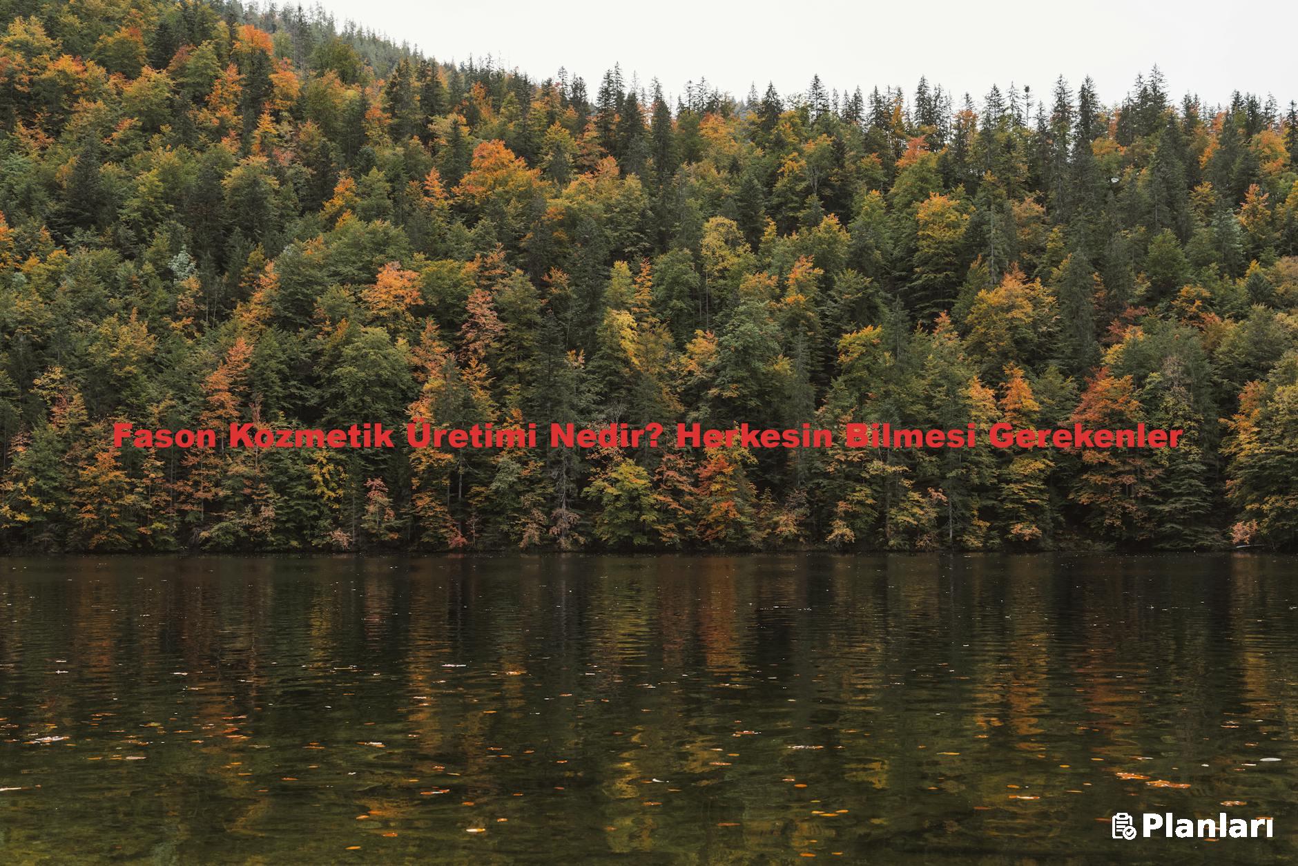 Fason Kozmetik Üretimi Nedir? Herkesin Bilmesi Gerekenler