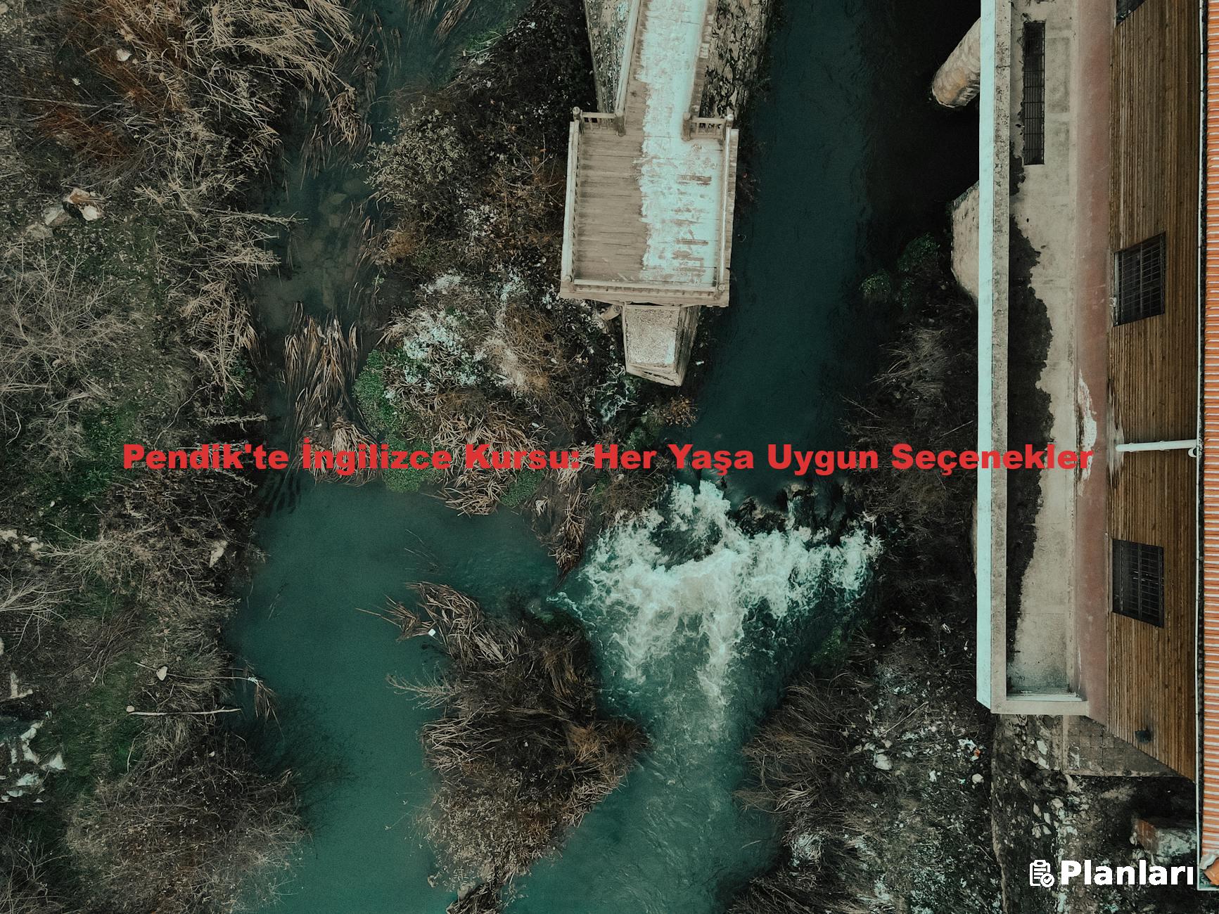Pendik'te İngilizce Kursu: Her Yaşa Uygun Seçenekler