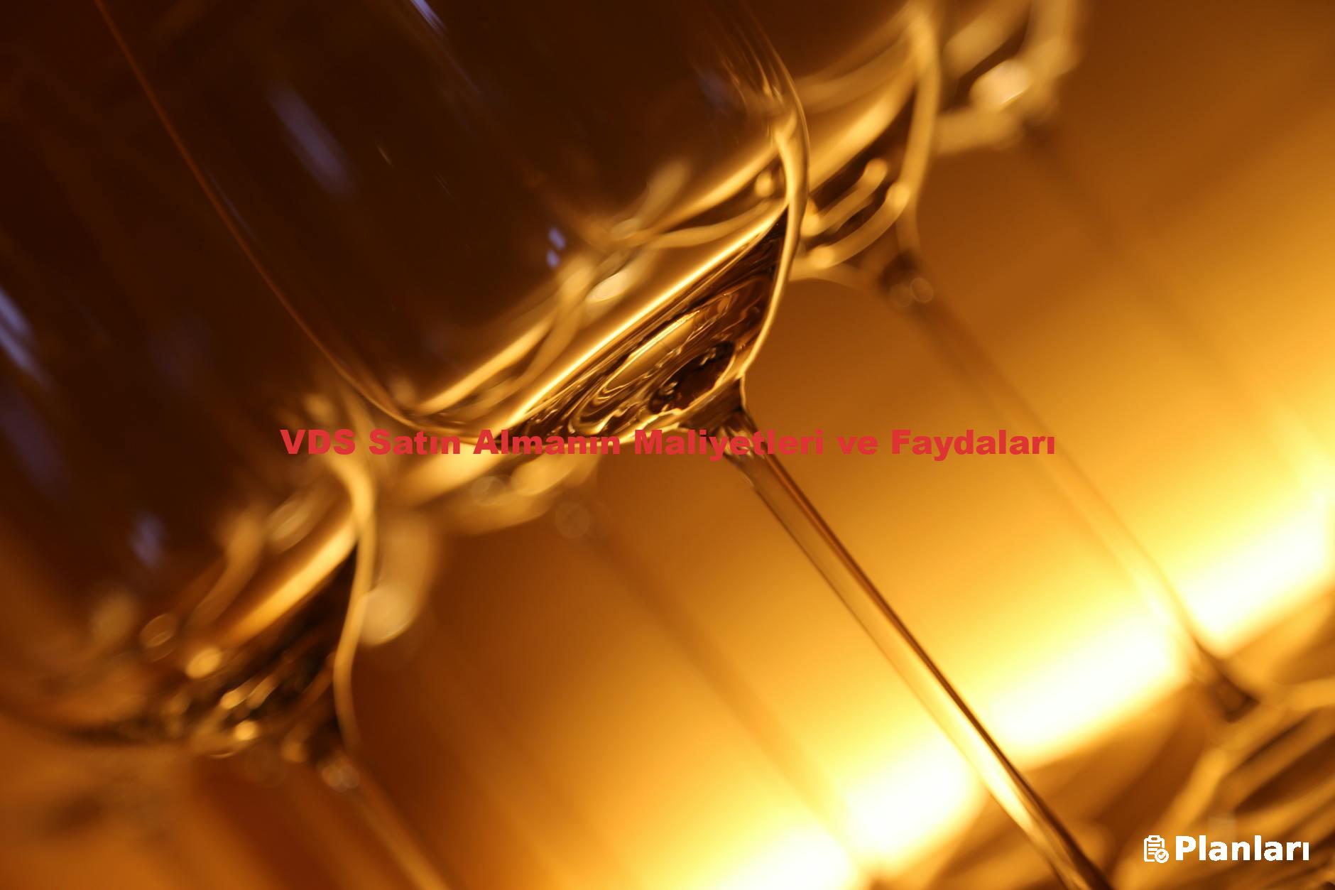 VDS Satın Almanın Maliyetleri ve Faydaları