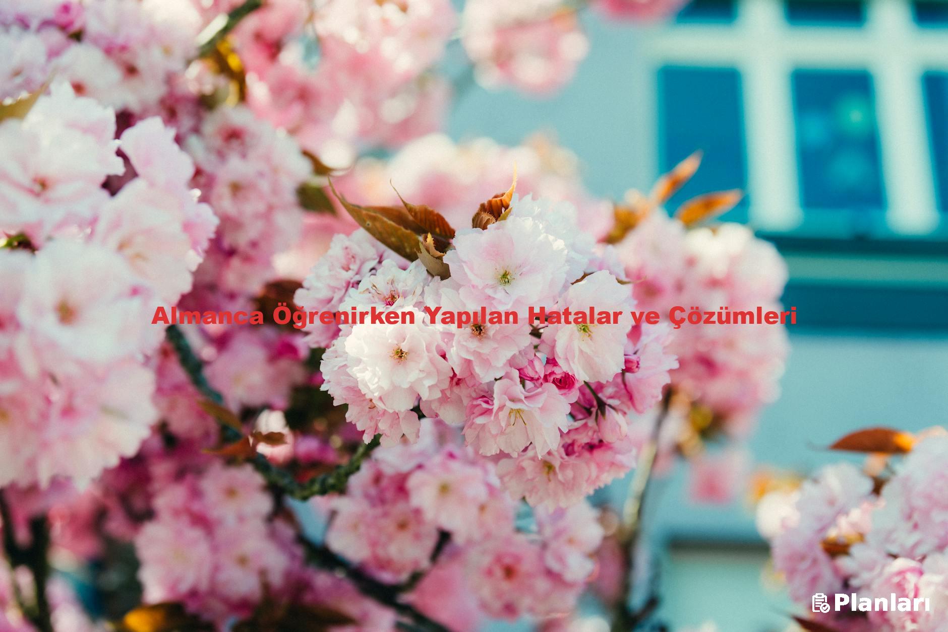 Almanca Öğrenirken Yapılan Hatalar ve Çözümleri