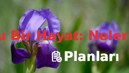 Tavsiyelerle Dolu Bir Hayat: Neler Kaçırıyorsunuz?