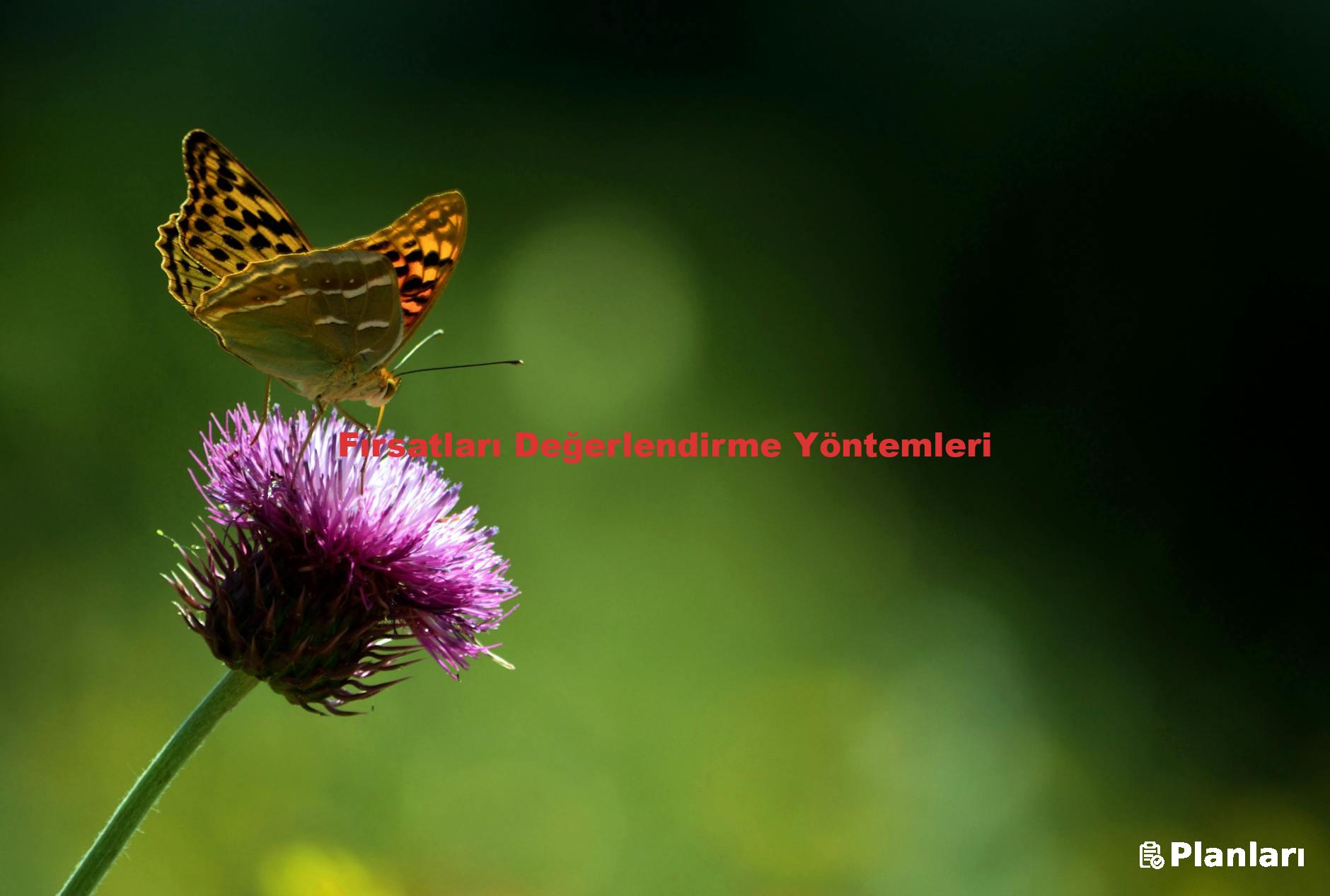 Fırsatları Değerlendirme Yöntemleri